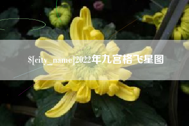 信阳2022年九宫格飞星图