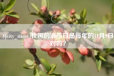 信阳我国的消防日是每年的11月9日对吗？