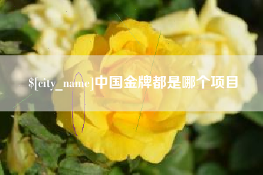 信阳中国金牌都是哪个项目