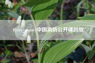 信阳中国消防公开课回放