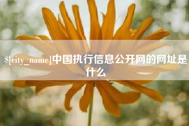 信阳中国执行信息公开网的网址是什么