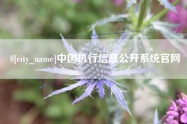 信阳中国执行信息公开系统官网