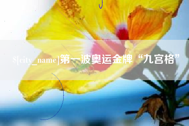 信阳第一波奥运金牌“九宫格”