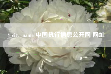 信阳中国执行信息公开网 网址