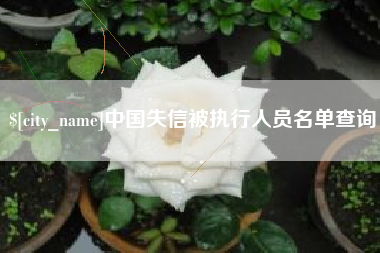 信阳中国失信被执行人员名单查询