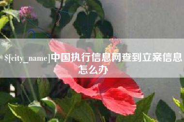 信阳中国执行信息网查到立案信息怎么办