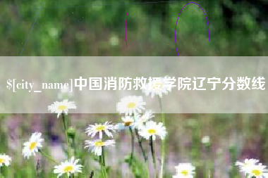 信阳中国消防救援学院辽宁分数线