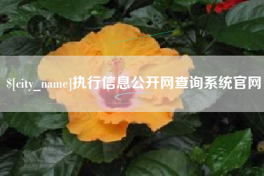 信阳执行信息公开网查询系统官网