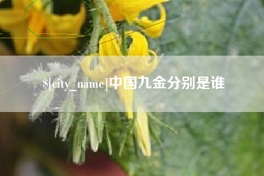 信阳中国九金分别是谁