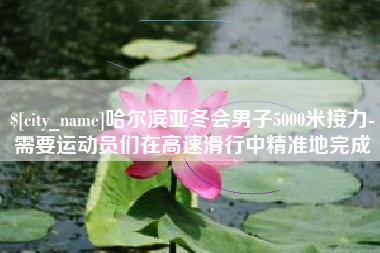 信阳哈尔滨亚冬会男子5000米接力-需要运动员们在高速滑行中精准地完成