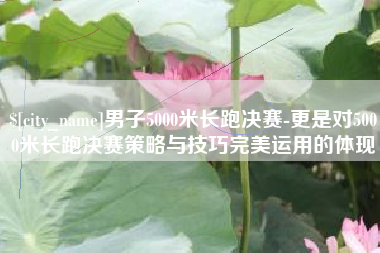 信阳男子5000米长跑决赛-更是对5000米长跑决赛策略与技巧完美运用的体现