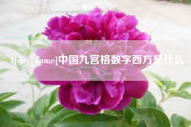 信阳中国九宫格数字西方是什么