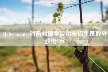 信阳消防救援学院山东招生录取分数线2020