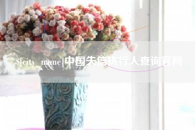 信阳中国失信执行人查询官网