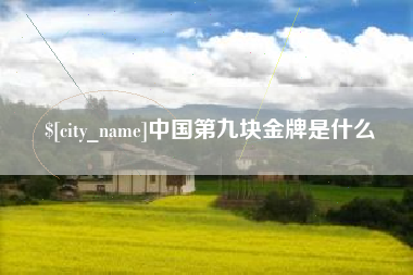 信阳中国第九块金牌是什么