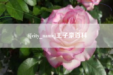 信阳王子豪百科