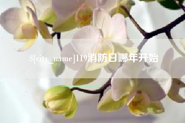 信阳119消防日哪年开始