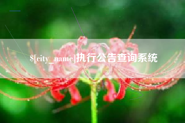 信阳执行公告查询系统
