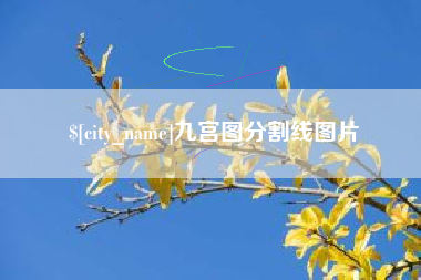 信阳九宫图分割线图片