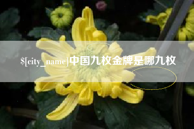 信阳中国九枚金牌是哪九枚