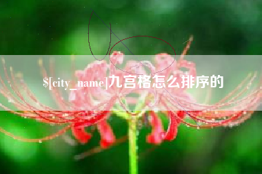 信阳九宫格怎么排序的