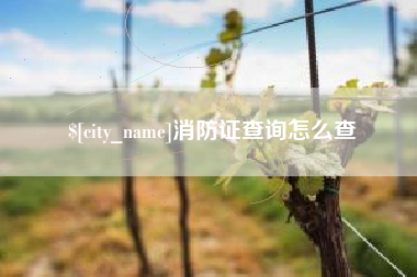 信阳消防证查询怎么查