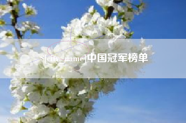 信阳中国冠军榜单