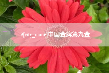 信阳中国金牌第九金