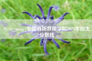 信阳中国消防救援学院2024年招生分数线