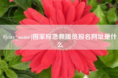 信阳国家应急救援员报名网址是什么