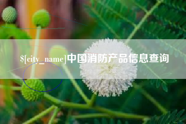信阳中国消防产品信息查询