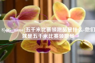 信阳五千米比赛领跑员是什么-他们就是五千米比赛领跑员