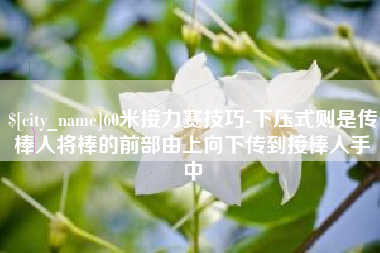 信阳60米接力赛技巧-下压式则是传棒人将棒的前部由上向下传到接棒人手中