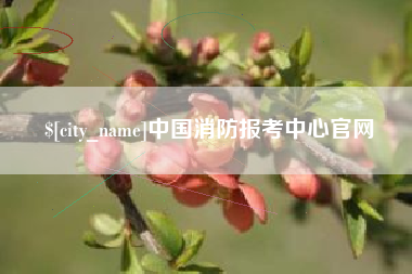 信阳中国消防报考中心官网