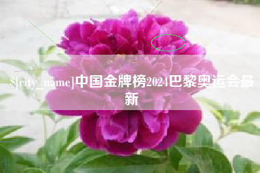 信阳中国金牌榜2024巴黎奥运会最新