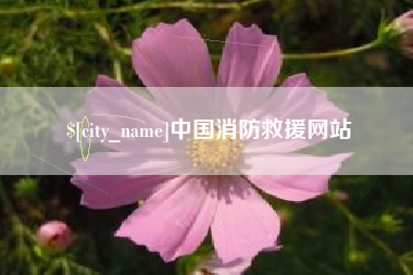 信阳中国消防救援网站
