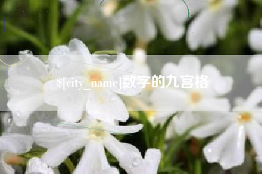 信阳数字的九宫格