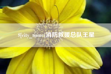 信阳消防救援总队王星