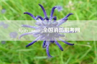信阳全国消防招考网