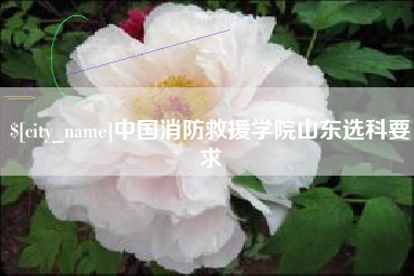信阳中国消防救援学院山东选科要求