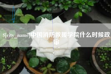 信阳中国消防救援学院什么时候政审