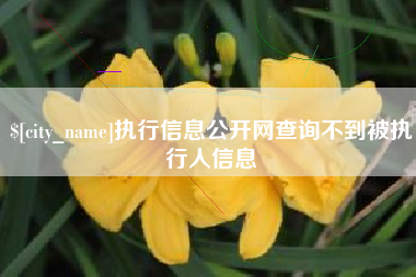 信阳执行信息公开网查询不到被执行人信息