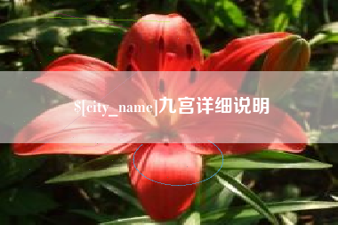 信阳九宫详细说明