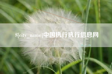 信阳中国执行执行信息网