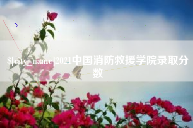 信阳2021中国消防救援学院录取分数