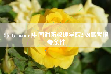 信阳中国消防救援学院2020高考报考条件