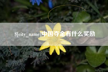 信阳中国夺金有什么奖励