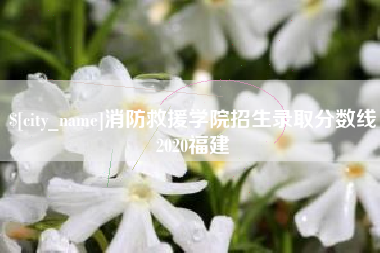 信阳消防救援学院招生录取分数线2020福建