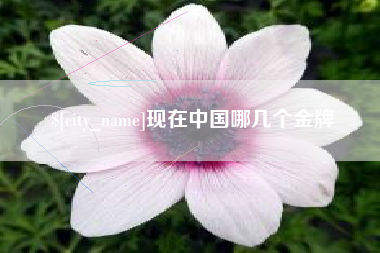 信阳现在中国哪几个金牌