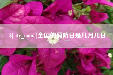信阳全国的消防日是几月几日